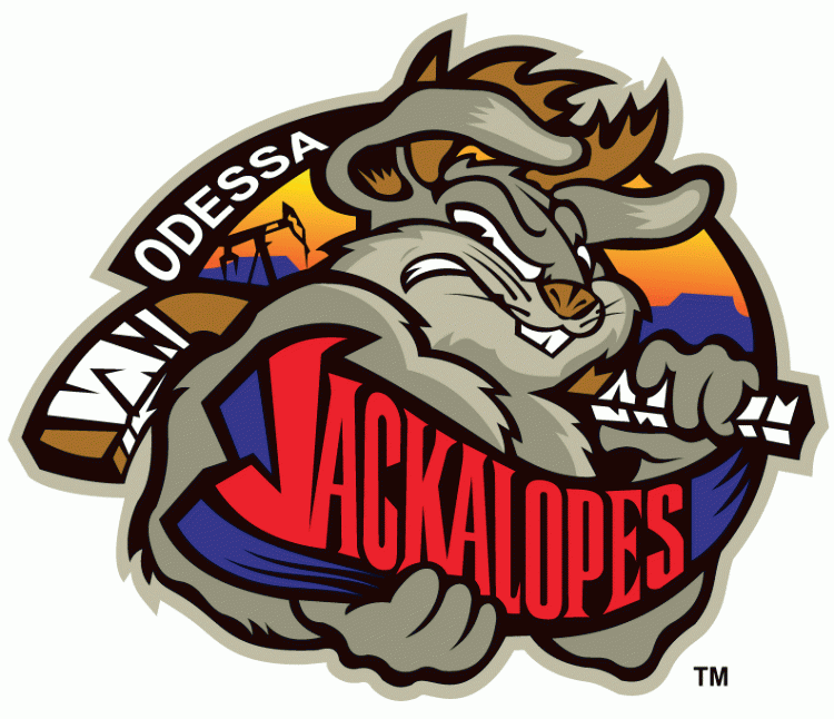 odessa jackalopes 2011 12-pres primary logo iron on heat transfer